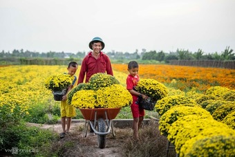 Làng hoa trăm tuổi vào mùa Tết