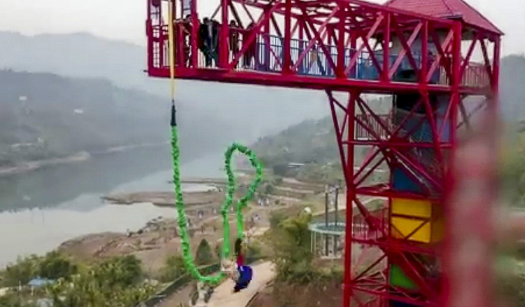 Công viên bắt lợn nhảy bungee Công viên bắt lợn nhảy bungee