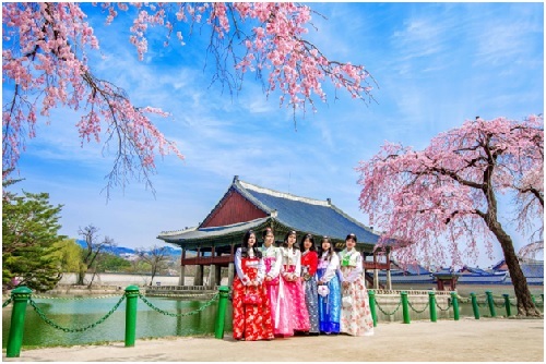 BenThanh Tourist giới thiệu tour ngắm hoa xuân Hàn Quốc