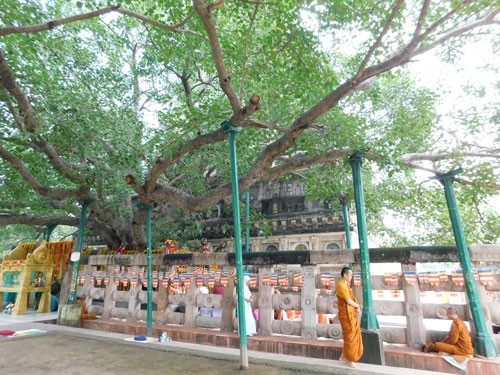 BODH GAYA, nơi muộn phiền bỏ lại - 2