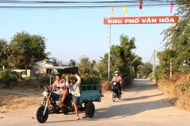 Chiêm ngưỡng cánh đồng cúc vàng đẹp mê mải chờ đón Tết ở Ninh Thuận - 13