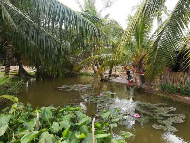 Về Cồn Chim đi câu cua, đổ bánh xèo, ăn bánh lá mơ... - 20