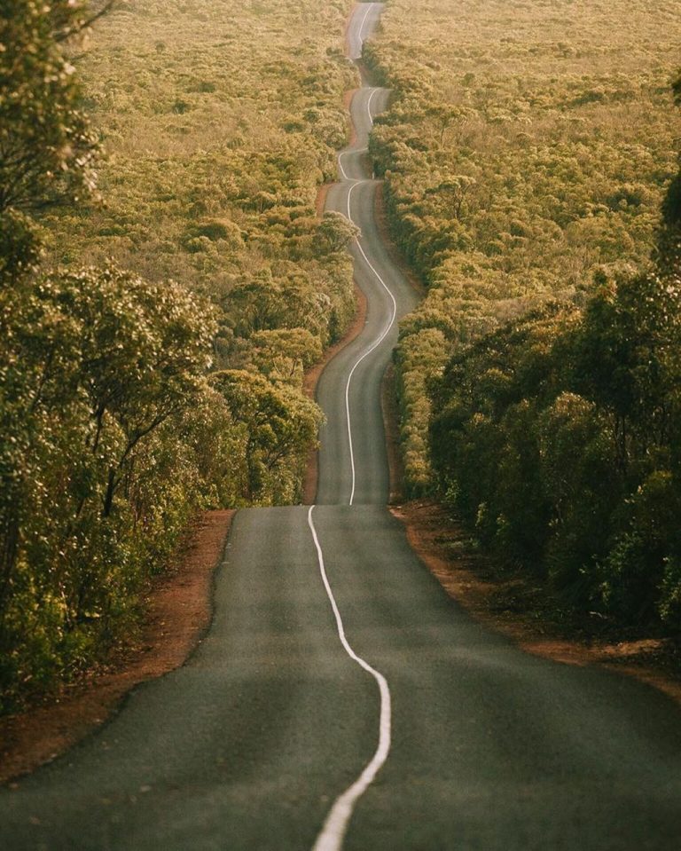 Cảnh đối lập trước và sau thảm họa cháy rừng ở Australia
