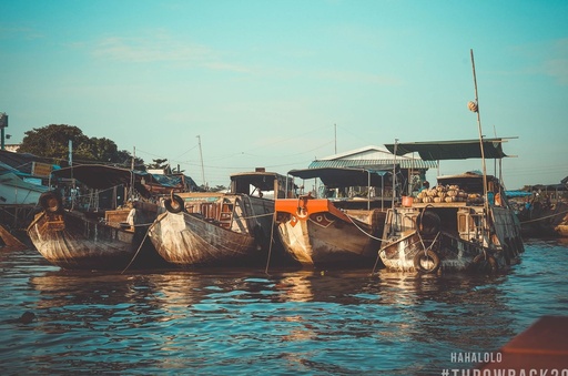 Viet Nam sanh vai quoc te trong loat anh nhin lai nam 2019 hinh anh 6 a.jpg