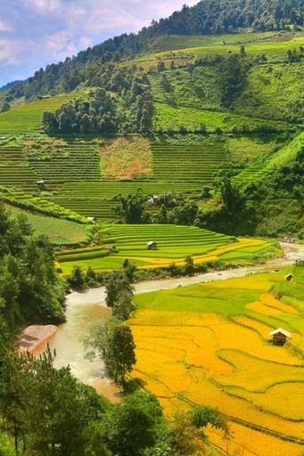 Buc tranh tuyet sac cua Mu Cang Chai hinh anh 6 a2.jpg