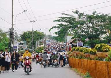 Làng hoa Sa Đéc đông nghẹt khách dịp cuối năm