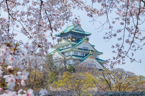 Thành Osaka Nhật Bản - mùa hoa sakura cuối cùng của năm Heisei. Ảnh: Vũ Văn Lâm.