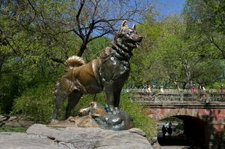 Tượng đồng tạc chó Balto trong công viên Trung tâm. Ảnh: Central Park.