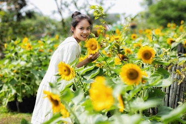 Cánh đồng hướng dương, vườn dạ yên thảo, khu Sơn nữ, vịnh tình yêu, vườn động - thực vật, khu đảo lan với hơn 8.000 chậu cùng thảm thực vật Du Long trải dài hơn 10.000 chậu hoa, cây xanh... là những điểm đến lý tưởng cho những du khách yêu thiên nhiên, hoa lá, cây cỏ.