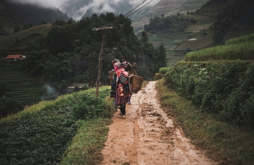 Buc tranh tuyet sac cua Mu Cang Chai hinh anh 16 f5.jpg