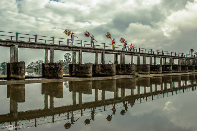 Tết ở làng hoa giấy Thanh Tiên