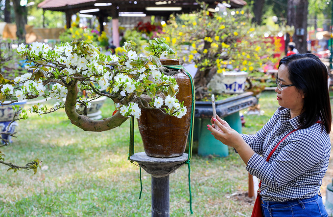 Hội hoa xuân lớn nhất Sài Gòn