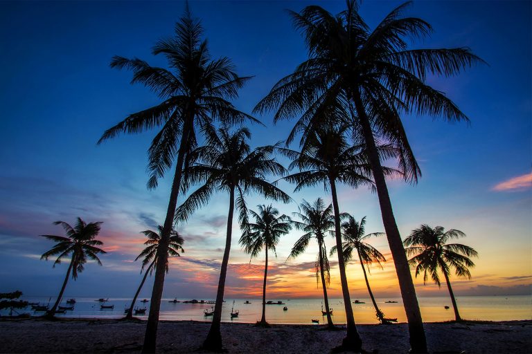 Cảnh sắc đắm say ở vùng đất phía tây nam Tổ quốc Cảnh sắc đắm say ở vùng đất phía tây nam Tổ quốc