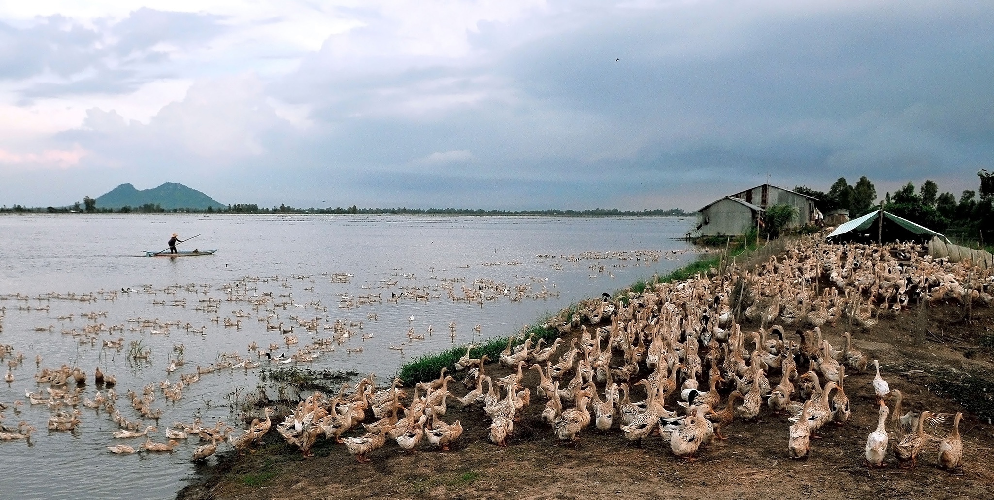 Canh sac dam say o vung dat phia tay nam To quoc hinh anh 31