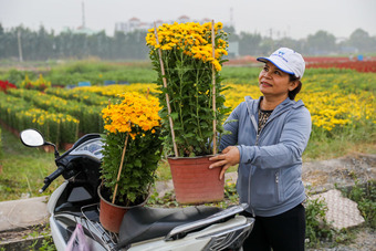 Làng hoa ở ngoại thành Sài Gòn vào vụ Tết