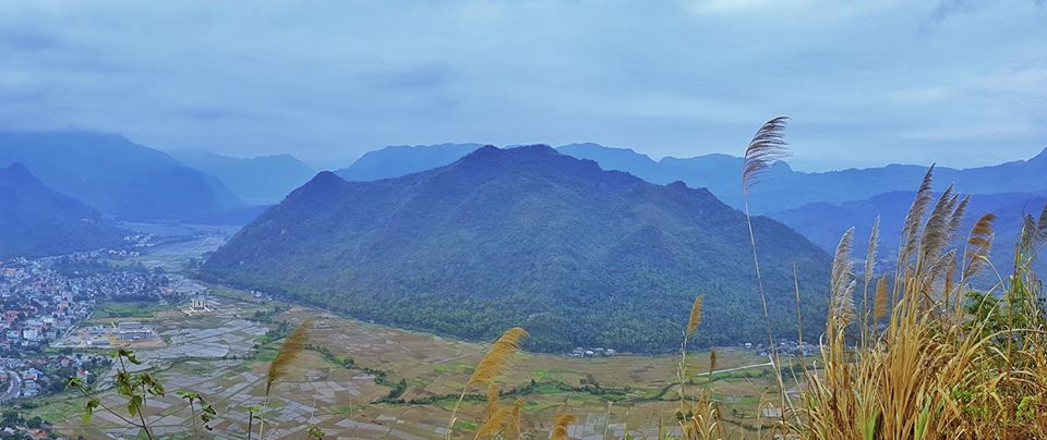 Lên Mộc Châu ngắm đồi chè xanh ngút mắt, xem trẻ em chơi "trồng nụ trồng hoa" - 1