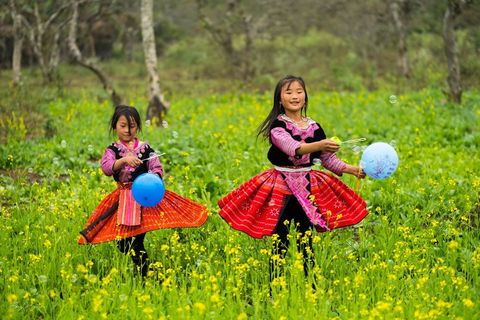 Lên Mộc Châu ngắm đồi chè xanh ngút mắt, xem trẻ em chơi "trồng nụ trồng hoa" - 10