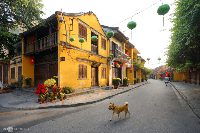 Sắc màu mùa xuân trên khắp Việt Nam