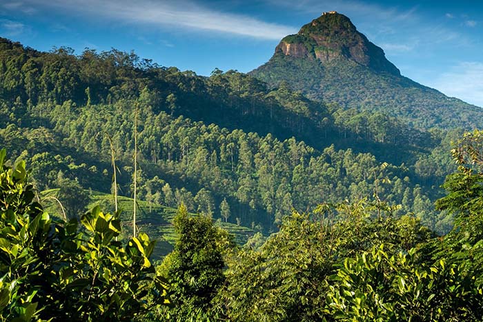 Nhìn cảnh đẹp thế này, đừng để bản thân phải nuối tiếc không đến Sri Lanka một lần trong đời - 2