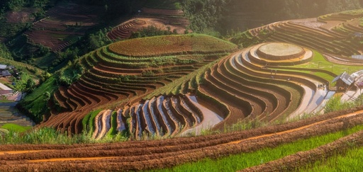 Buc tranh tuyet sac cua Mu Cang Chai hinh anh 12 pana.jpg