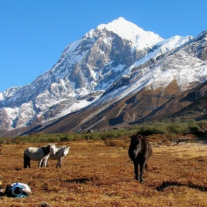 Hanh trinh chinh phuc va khoanh khac an tuong tren day Himalaya hinh anh 3