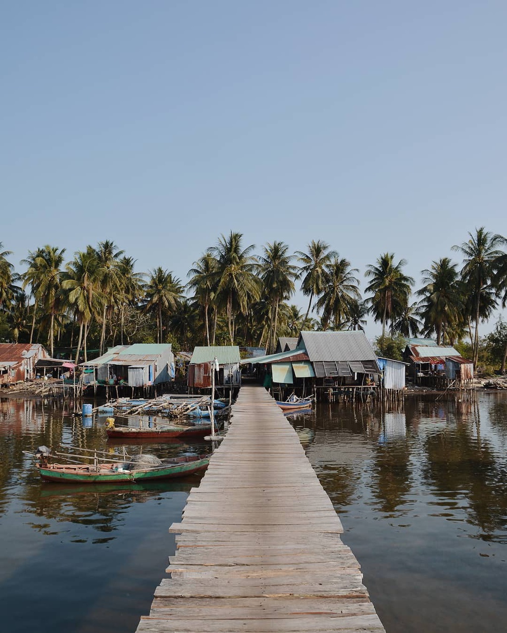 Nhung dieu phai thu de giong dan ban dia Phu Quoc hinh anh 6 rachvem.jpg