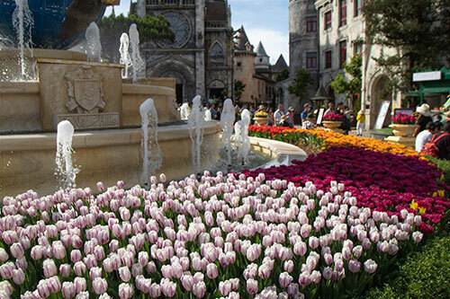 Thiên đường hoa tulip tại Sun World Ba Na Hills - 1