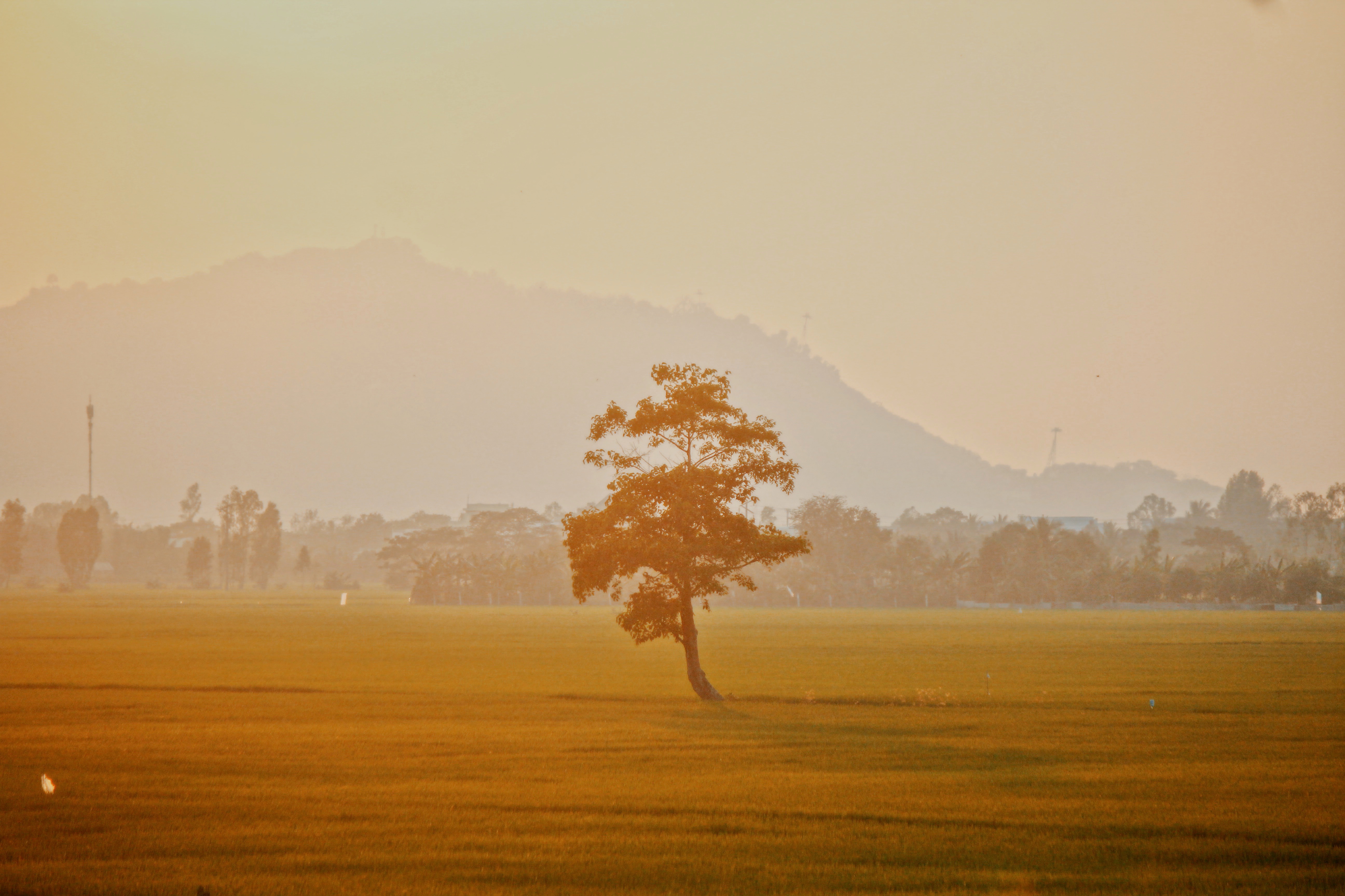 Vi sao An Giang khien du khach phai long? hinh anh 2 01.JPG