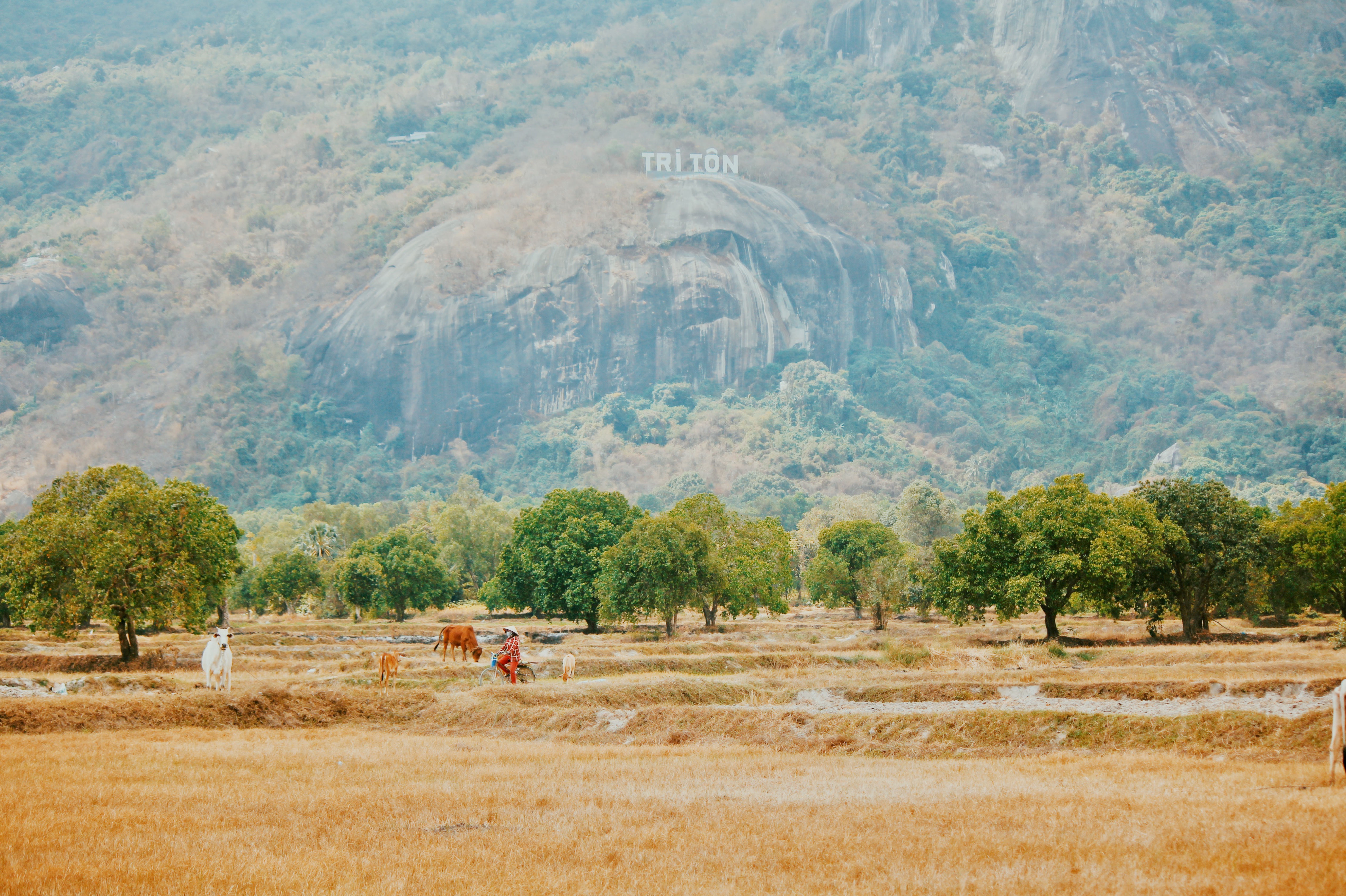 Vi sao An Giang khien du khach phai long? hinh anh 6 07.JPG