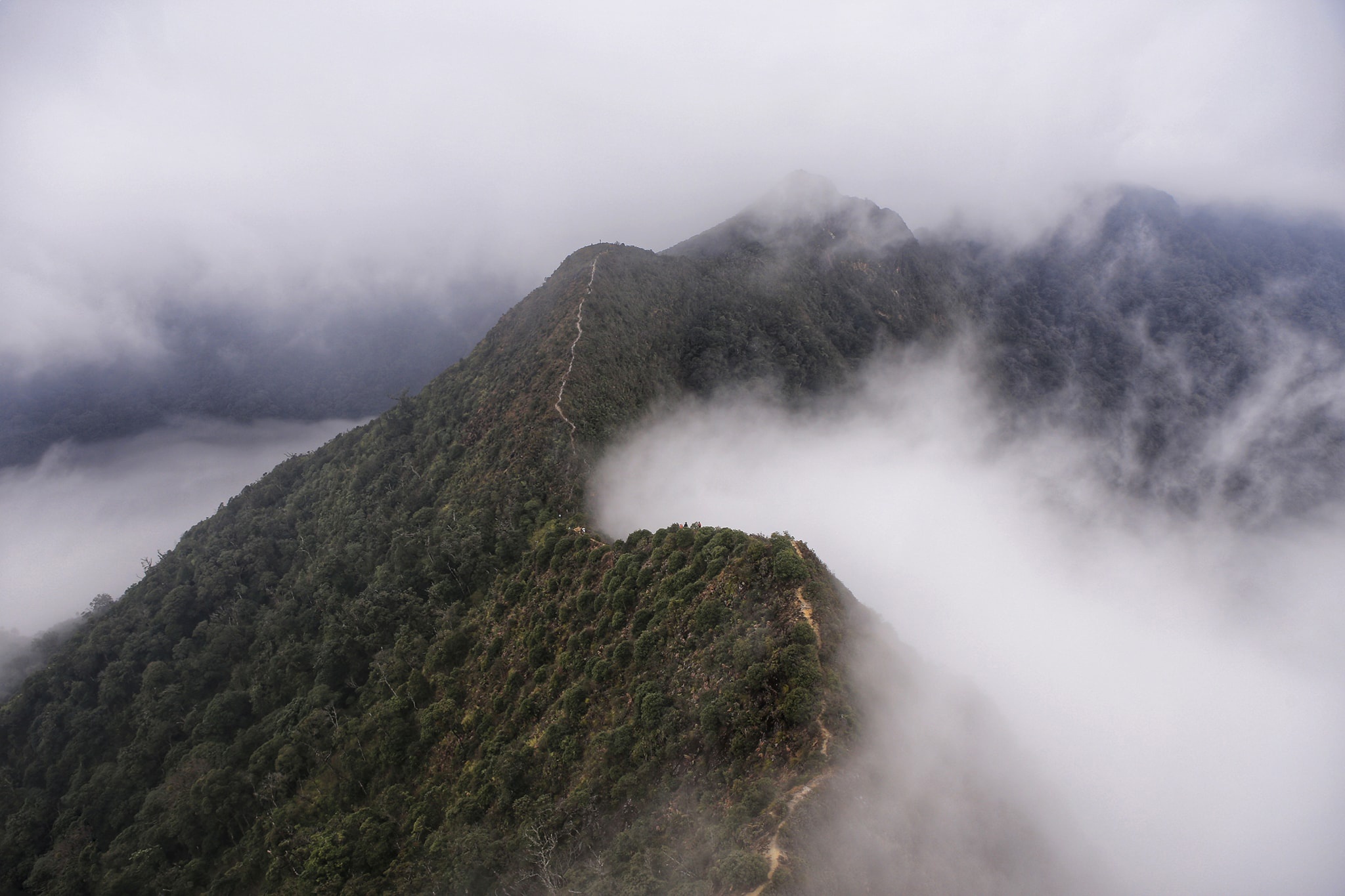 Cuoc gap go cung may, suong va reu tren dinh Ta Xua hinh anh 2 10.jpg