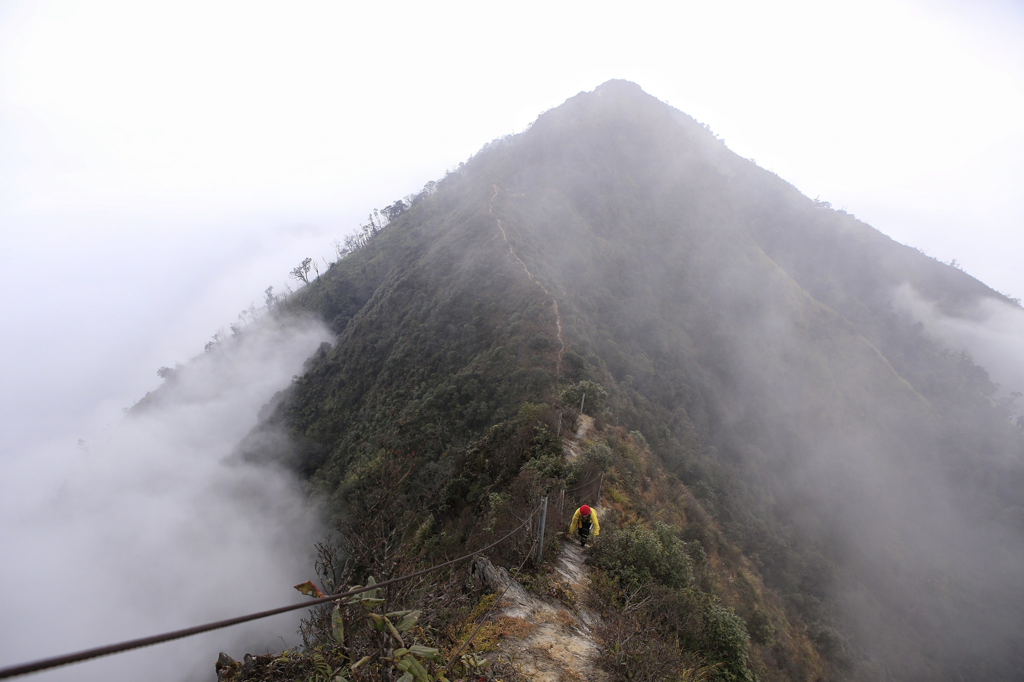 Cuoc gap go cung may, suong va reu tren dinh Ta Xua hinh anh 7 11.jpg