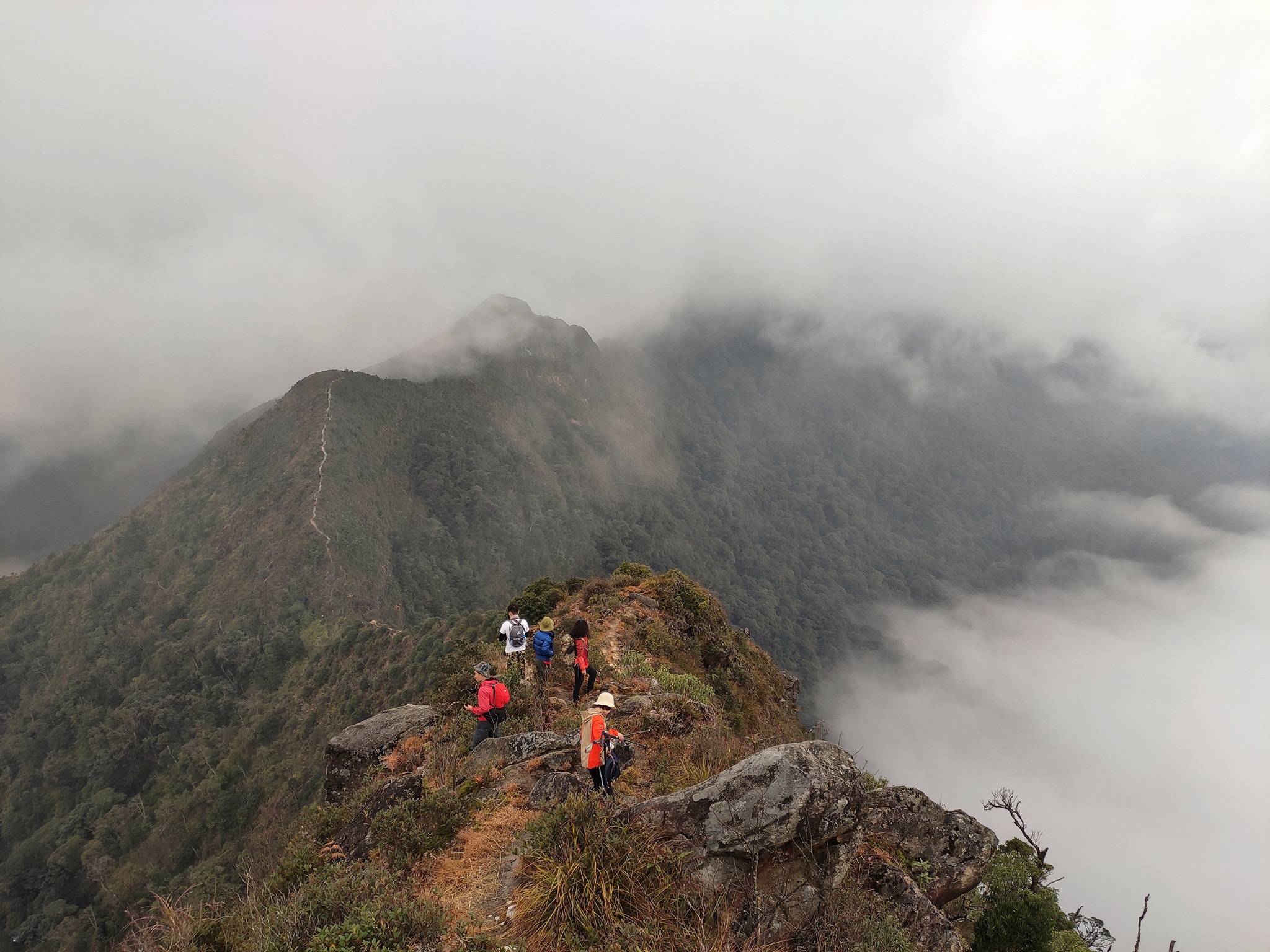 Cuoc gap go cung may, suong va reu tren dinh Ta Xua hinh anh 20 11.1.jpg