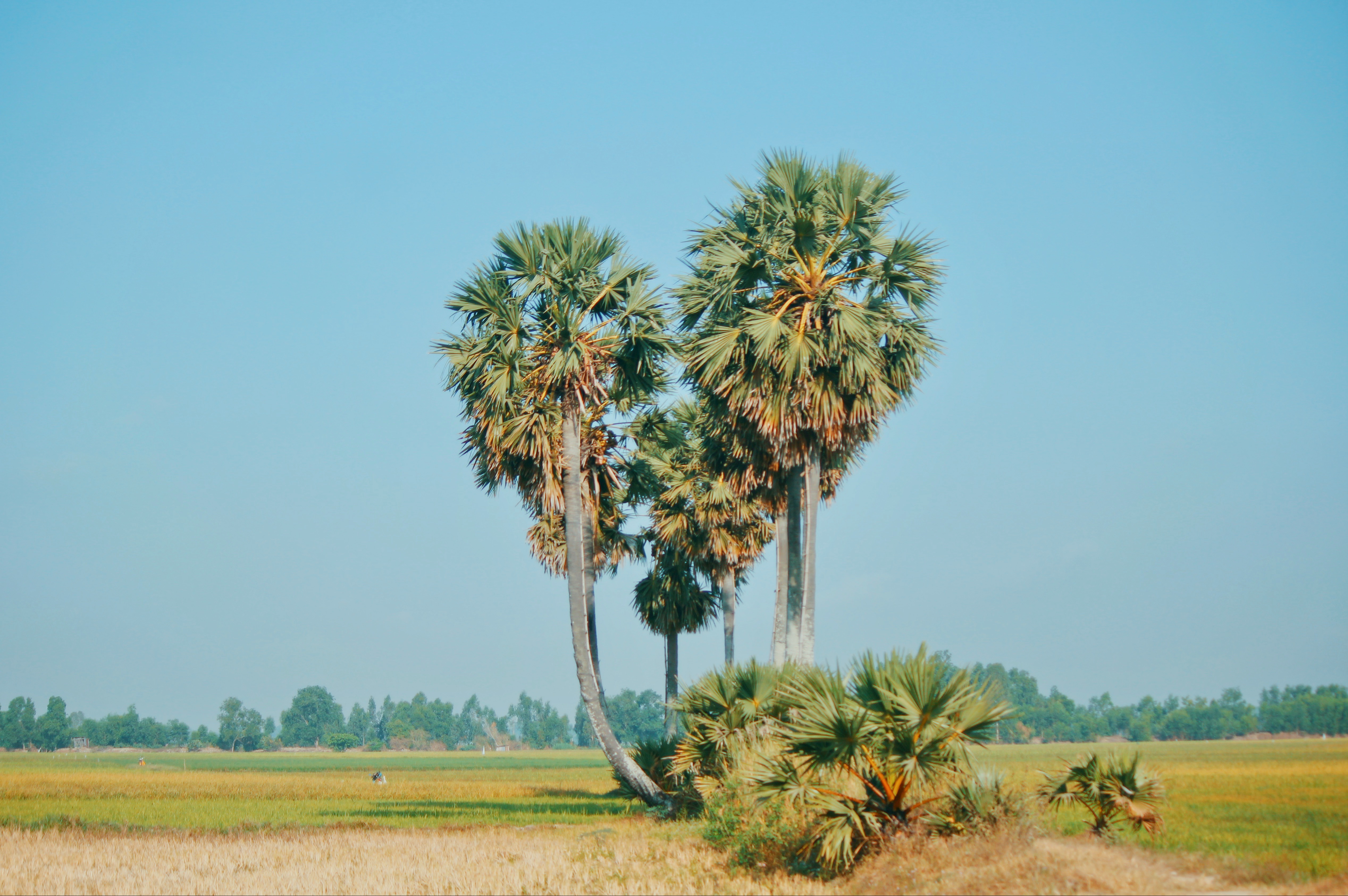 Vi sao An Giang khien du khach phai long? hinh anh 1 13.JPG