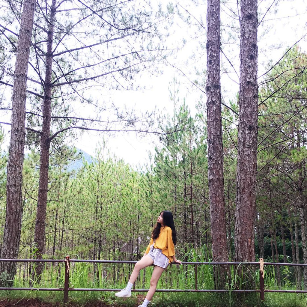 Du xuan dau nam tai nhung ngoi chua dep, linh thieng o Da Lat hinh anh 8 2._hwangnhung.jpg