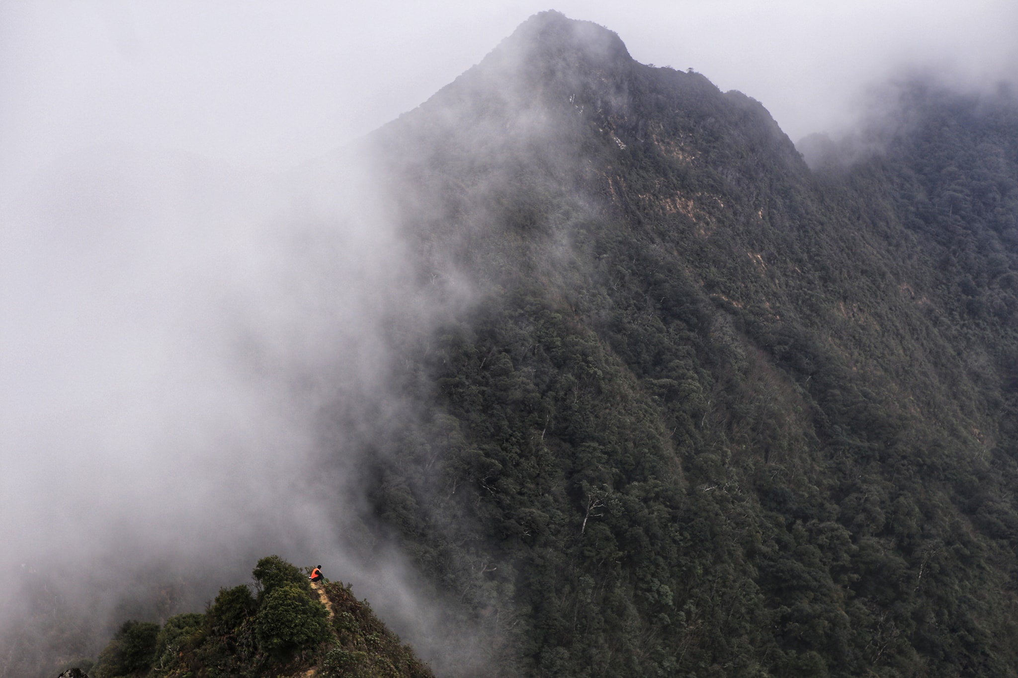 Cuoc gap go cung may, suong va reu tren dinh Ta Xua hinh anh 4 21.jpg