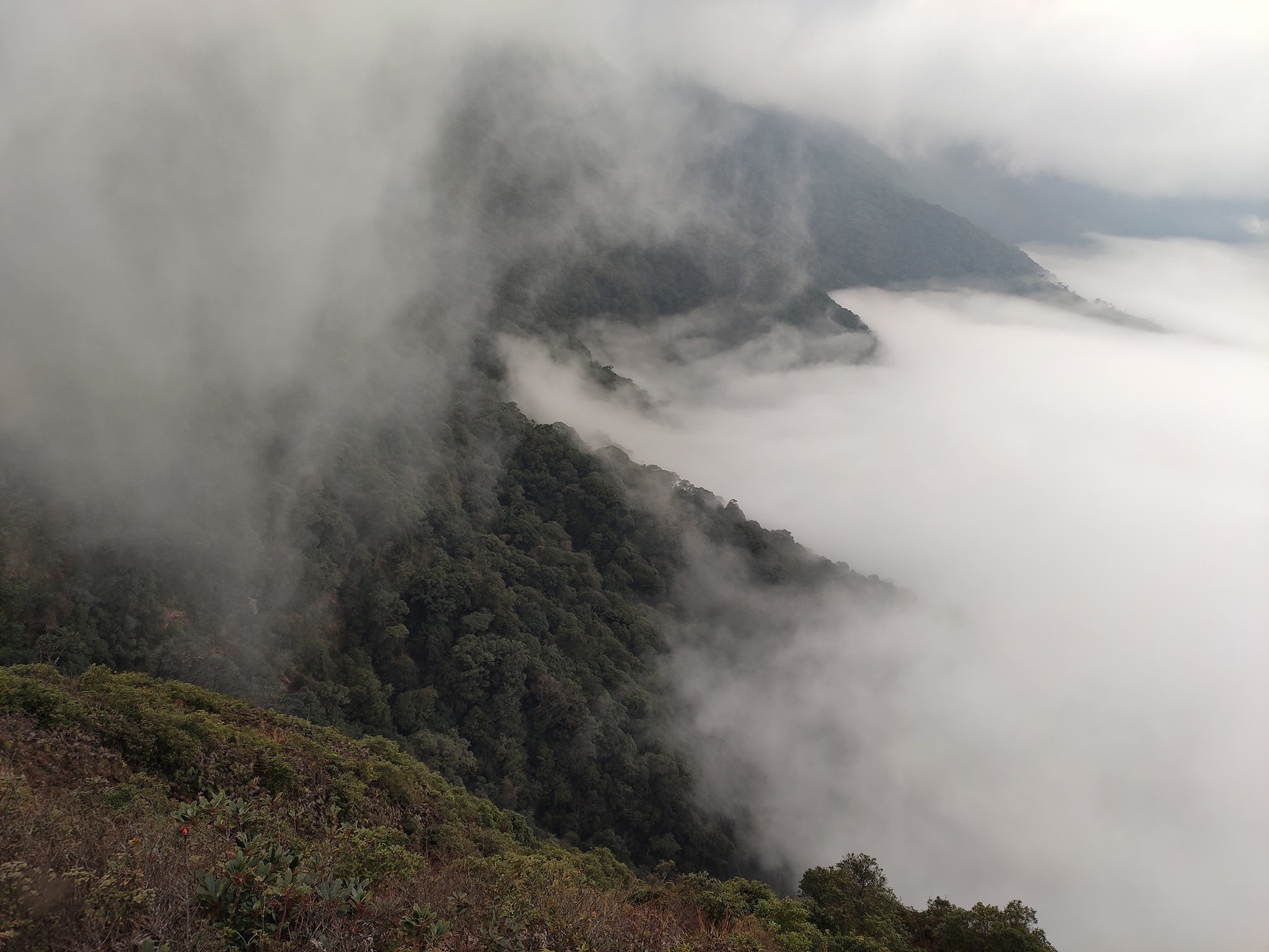 Cuoc gap go cung may, suong va reu tren dinh Ta Xua hinh anh 5 24.jpg