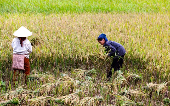 5 ngọn núi của Việt Nam nổi tiếng trên báo Tây - 3