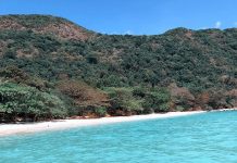 Kinh nghiệm du lịch Côn Đảo, vùng đất mang vẻ đẹp huyền bí Kinh nghiem du lich Con Dao, vung dat mang ve dep huyen bi hinh anh 1 51743729_415935932514824_1404351610382910976_n_1.jpg