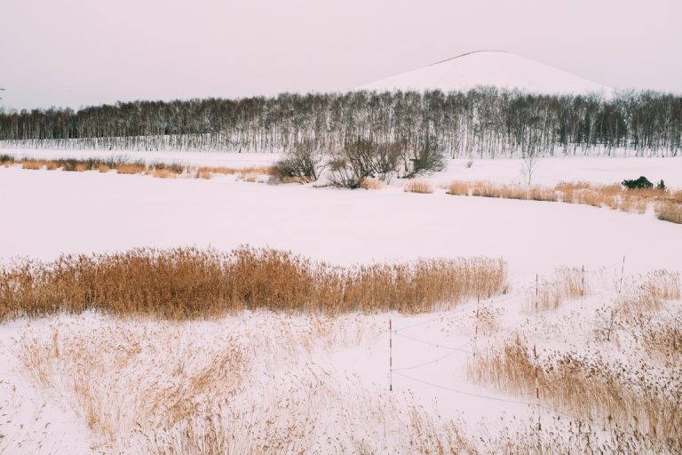Hokkaido – thiên đường tuyết trắng ở Nhật Hokkaido – thiên đường tuyết trắng ở Nhật