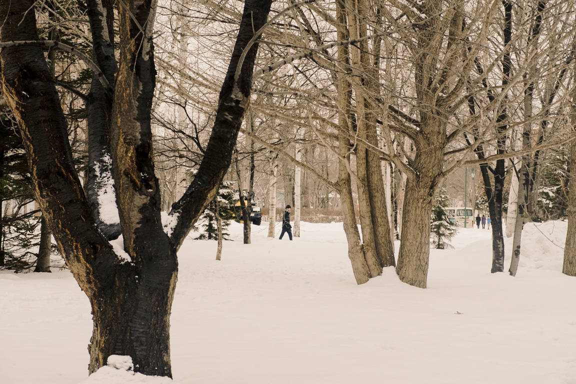 Hokkaido - thien duong tuyet trang o Nhat hinh anh 7 58Long_83.jpg