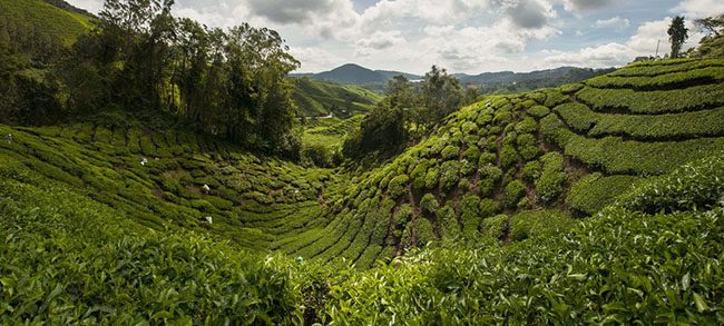 7 điểm đến tuyệt vời ở Đông Nam Á - 5