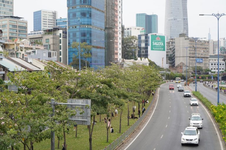 Giới trẻ Sài thành xếp hàng check-in cùng hoa kèn hồng Giới trẻ Sài thành xếp hàng check-in cùng hoa kèn hồng