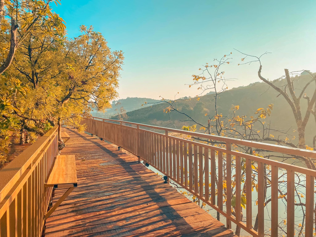 Da Lat xuat hien con duong Han Quoc don tim gioi tre hinh anh 8 86713589_618053389030709_4755997684077166592_o.jpg