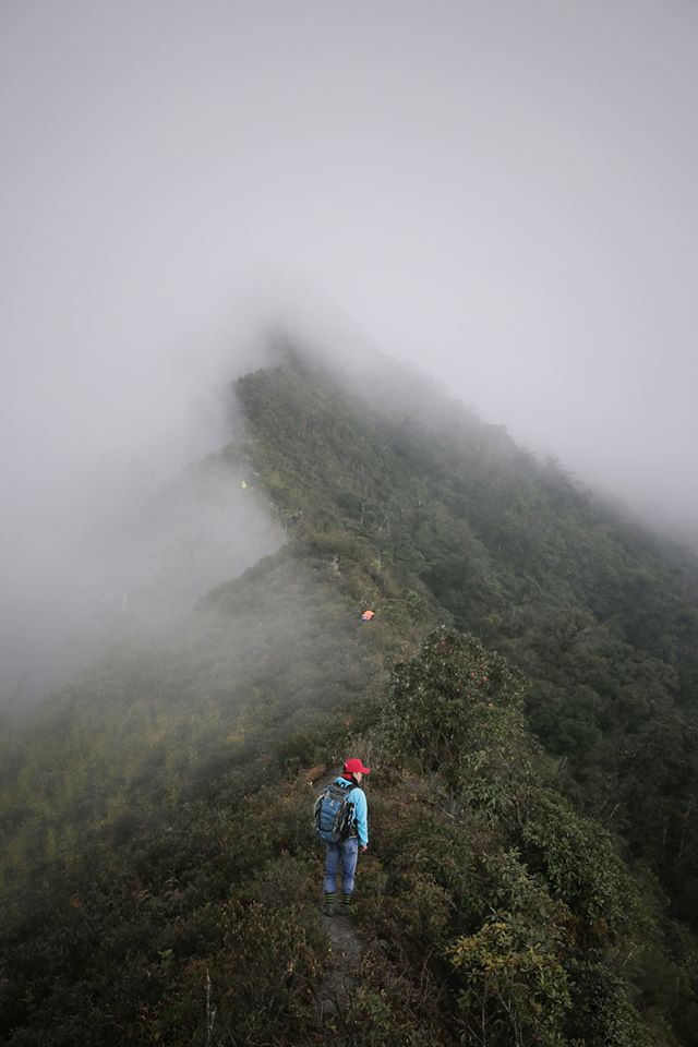 Cuoc gap go cung may, suong va reu tren dinh Ta Xua hinh anh 6 9_1.jpg