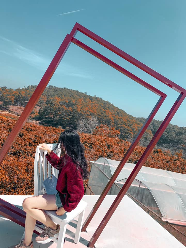 Thoa suc song ao o cau ban tay phien ban thu nho tai Da Lat hinh anh 17 anh4.jpg