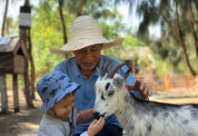 Những điểm đến ngập tràn sắc xanh cho gia đình có trẻ nhỏ Nhung diem den ngap tran sac xanh cho gia dinh co tre nho hinh anh 1 anh_1.jpg