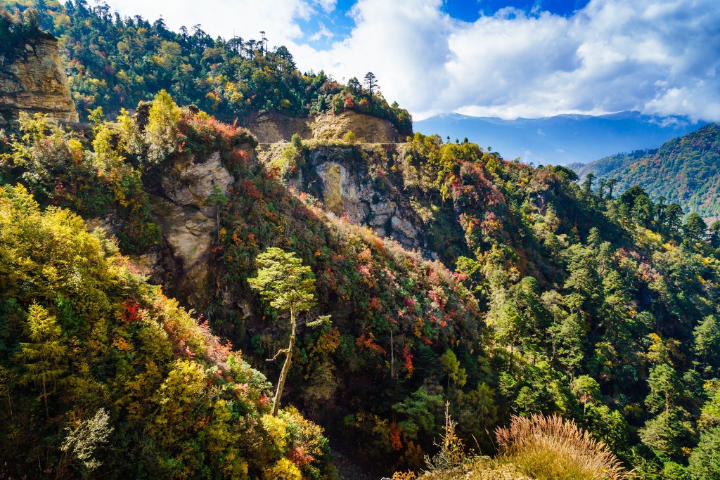 Kinh nghiem du lich Bhutan - vuong quoc hanh phuc nhat the gioi hinh anh 8 Anh_8_Nguyen_Thanh_Tung_.jpg