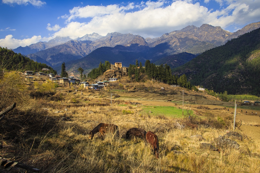 Kinh nghiem du lich Bhutan - vuong quoc hanh phuc nhat the gioi hinh anh 10 Anh_9_Nguyen_Thanh_Hai_1_.jpg