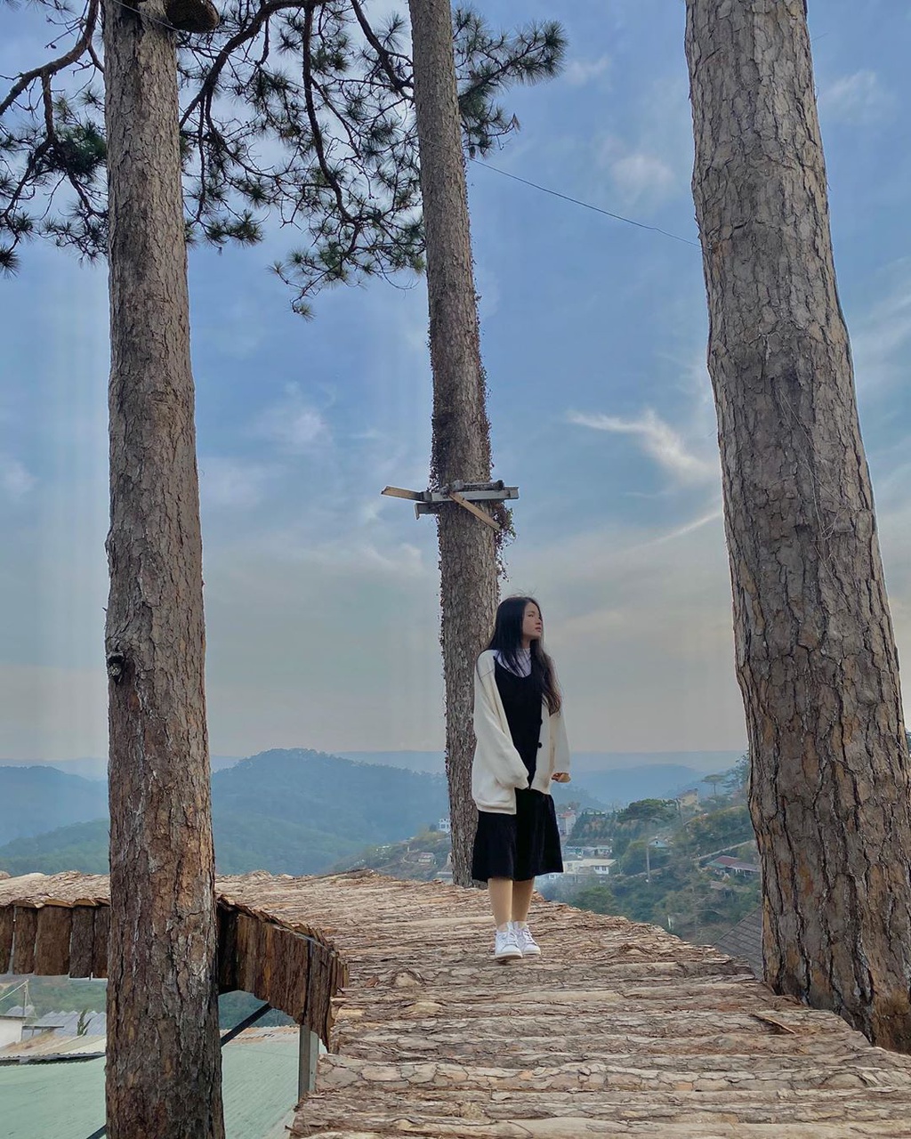 Duong Han Quoc va 4 toa do moi mo o Da Lat hinh anh 4 dolanphuong206__1.jpg