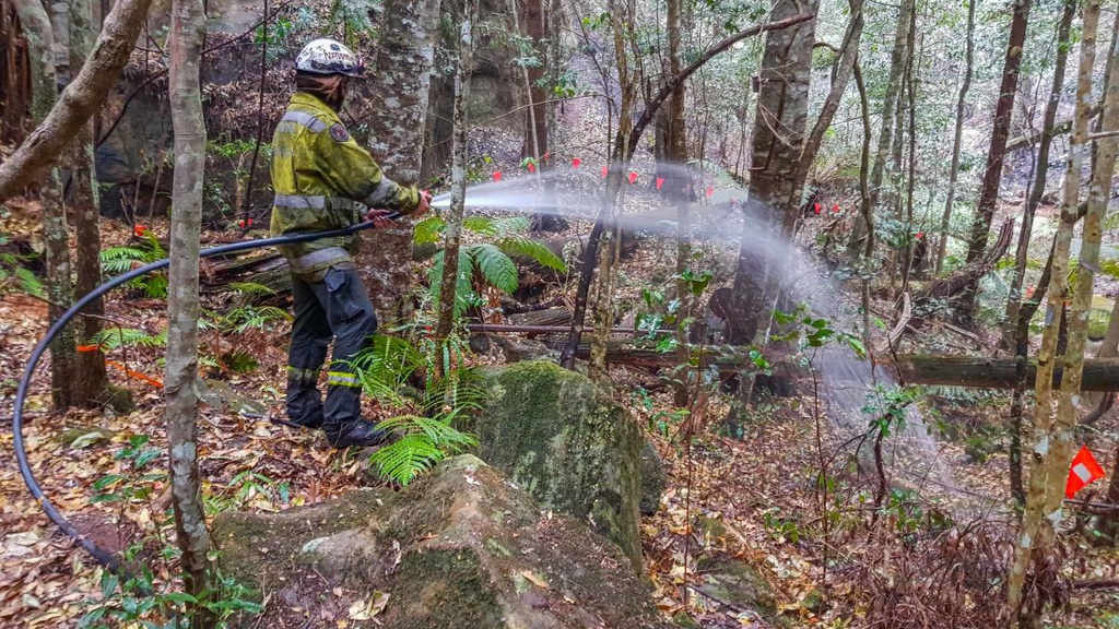 Thong khung long xanh tot giua tham hoa chay rung Australia hinh anh 5 https_cdn.cnn.com_cnnnext_dam_assets_200115095127_03_australia_firefighters_wollemi_pines.jpg